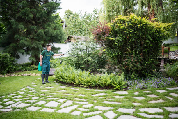 Trusted Franklin Grove, IL Pest Control Experts