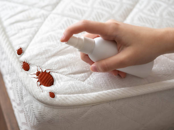 Best Exterminator Services  in Franklin Grove, IL