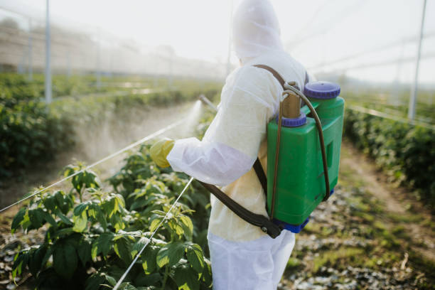 Best Wildlife Control Services  in Franklin Grove, IL
